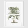 Palm Tree Decorative Window Film