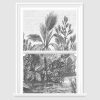 Vintage Jungle Decorative Window Film