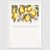 Lemons Decorative Window Film